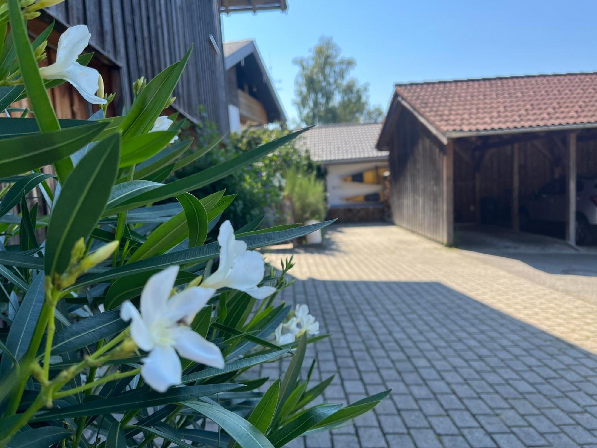 Apartment Wohlfuehlplatzl - Urgemuetlich & Ruhig Vogtareuth エクステリア 写真